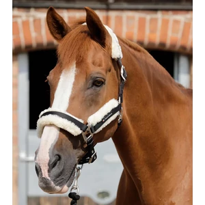 Premier Equine szőrmés kötőfék FEKETE 