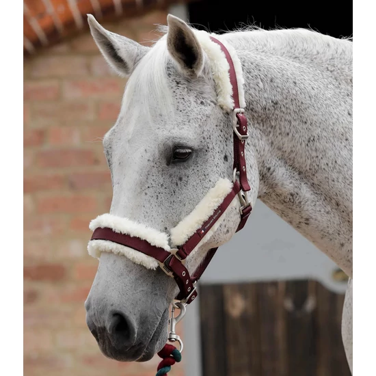 Premier Equine szőrmés kötőfék BURGUNDI 