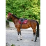 Kép 2/4 - Boss Equestrian ugró bársony nyeregalátét BORDÓ 2025FW kollekció