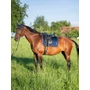Kép 9/9 - Tommy Hilfiger Windsor steppelt díjlovas nyeregalátét SÖTÉTKÉK