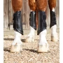 Kép 2/4 - Premier Equine Carbon Air-Tech Double Locking lábvédő